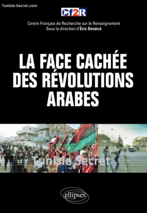 En exclusivité: Premier grand livre sur le "printemps arabe"