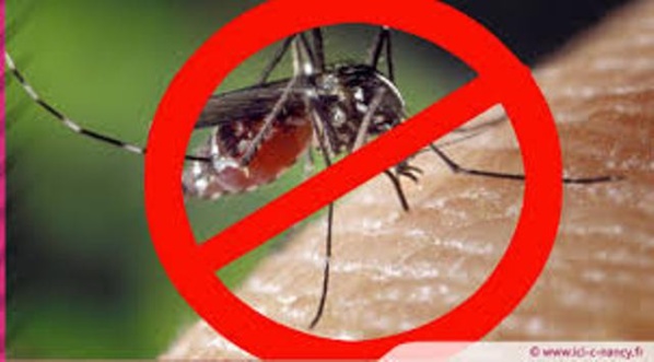 Le Terminator algérien promet aux « moustiques » du printemps arabe l’extermination Le Terminator algérien promet aux « moustiques » du printemps arabe l’extermination