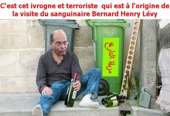 Montage photo qui exprime le dégoût des Tunisiens à l'égard de ce mercenaire du Qatar et agent du sionisme.