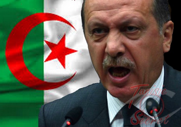 Après son échec en Syrie et en Egypte, Erdogan veut allumer l’Algérie