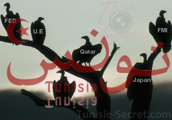 Prêts accordés à la Tunisie : FMI, Europe, Qatar, Japon, le ballet des charognards