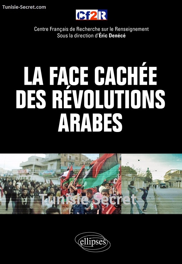 Couverture du livre collectif "La face cachée des révolutions arabes", édition Ellipses, Paris, 2012.