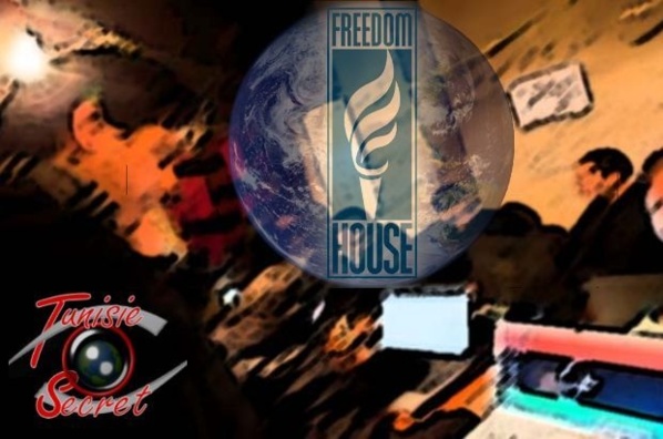 Avec Open society de George Soros, Otpor et Telecomix, Freedom House, une vitrine des services américains a joué un rôle déterminant dans la "révolution du jasmin", puis dans le "printemps" dit arabe.