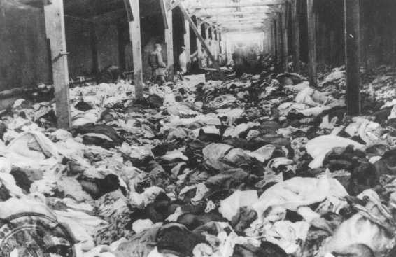 Les Musulmans grands absents d’Auschwitz