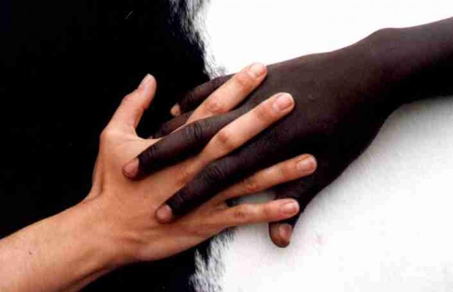 Tunisie : Racisme et « patriotisme » footballistique, par Aliou Fama Tunisie : Racisme et « patriotisme » footballistique, par Aliou Fama