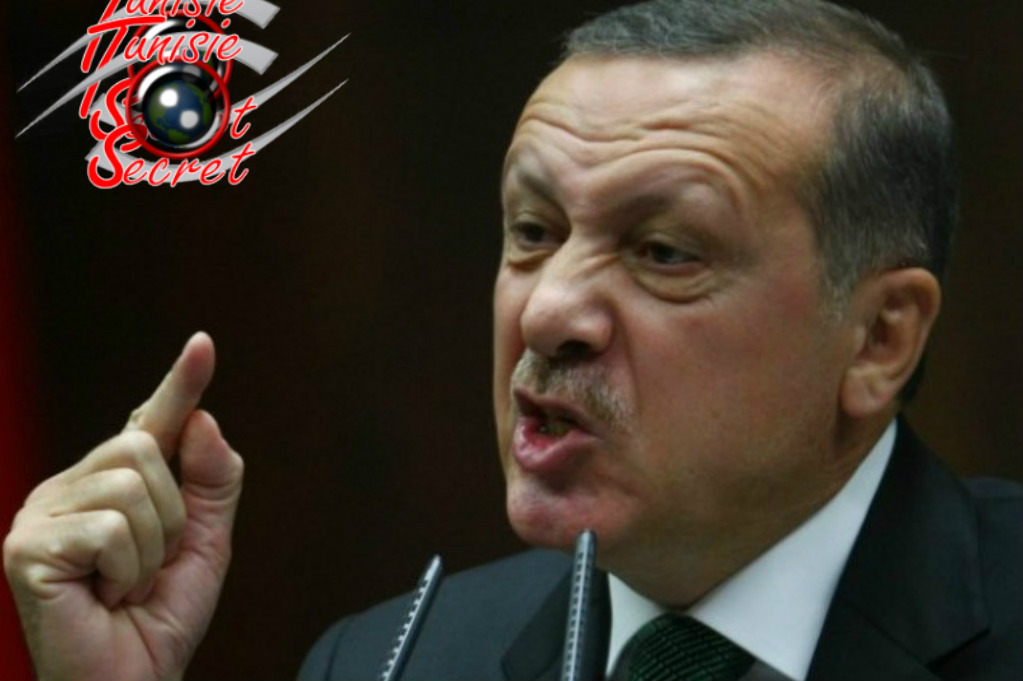 Recep Tayyip Erdogan, ami de Daech, ennemi du PKK !