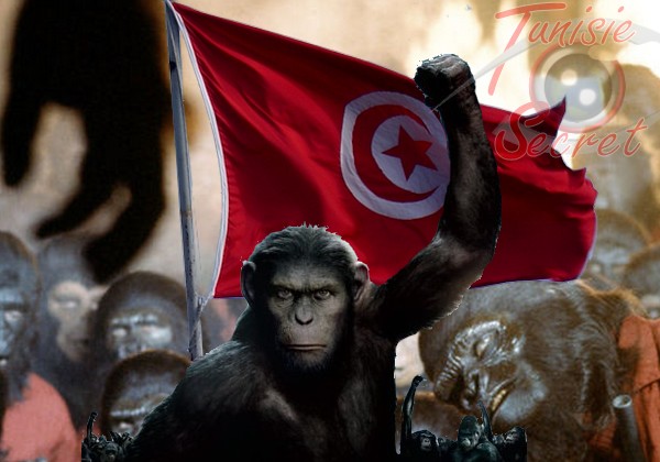 Révolution du jasmin et théorème du singe Révolution du jasmin et théorème du singe